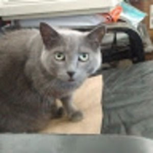 Meet your Posher, Lynne